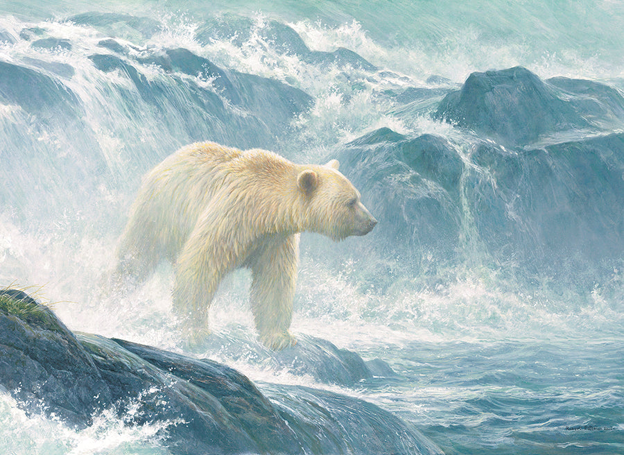 500 - Salmon Watch - Spirit Bear