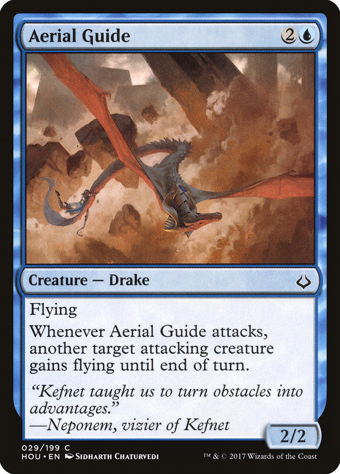 Aerial Guide - Foil