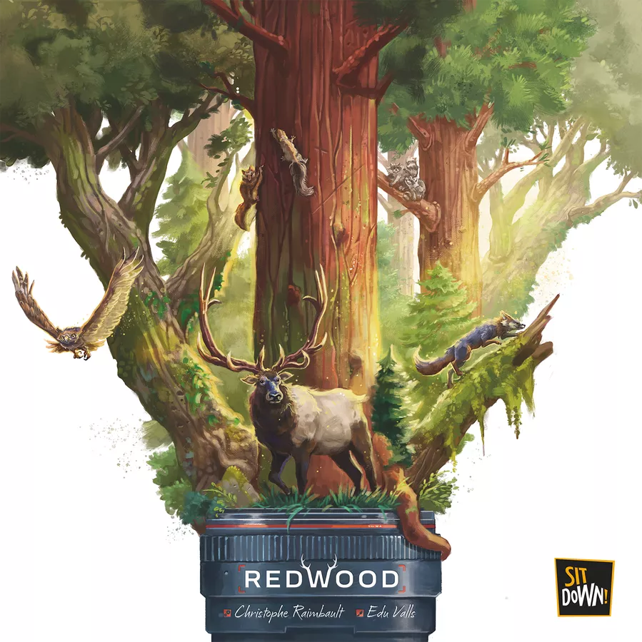 Redwoods