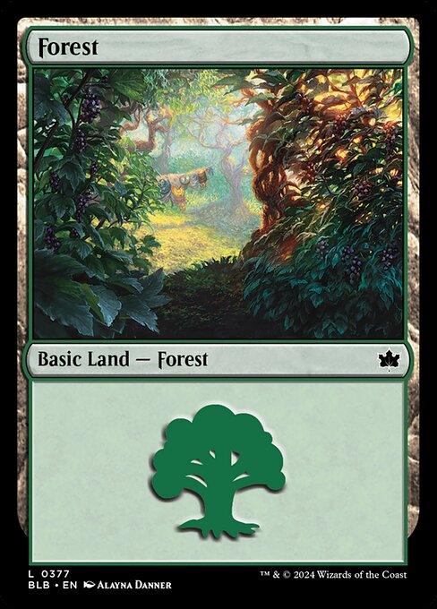 Forest (377)