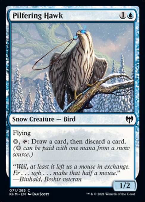 Pilfering Hawk - Foil