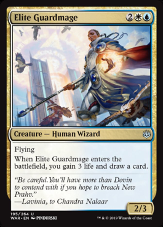 Elite Guardmage - Foil