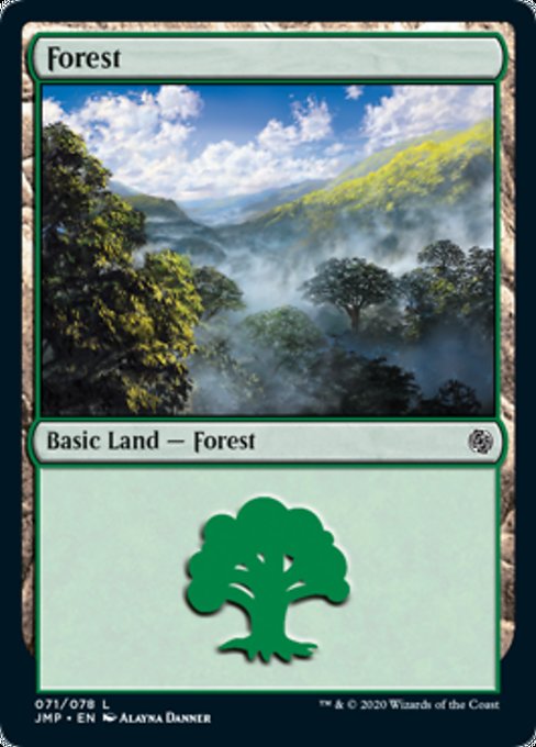 Forest (71)