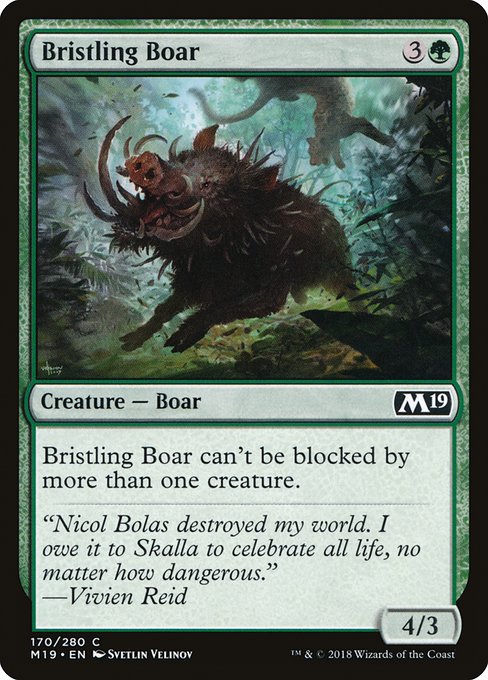 Bristling Boar - Foil