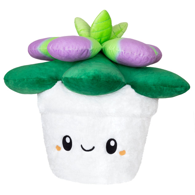 Succulent Squishable