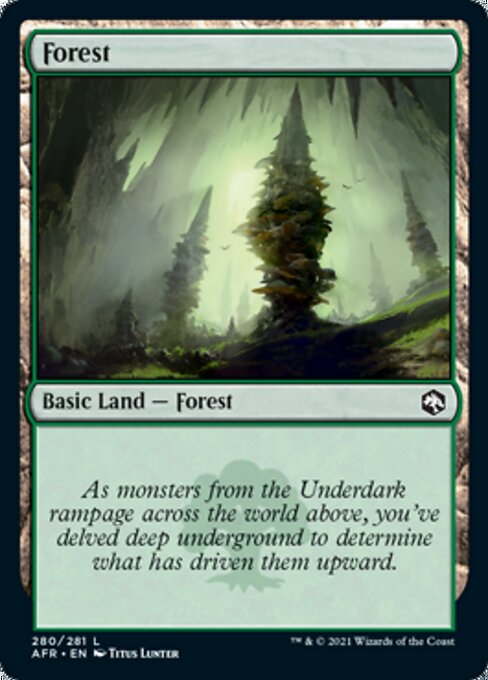 Forest (280)