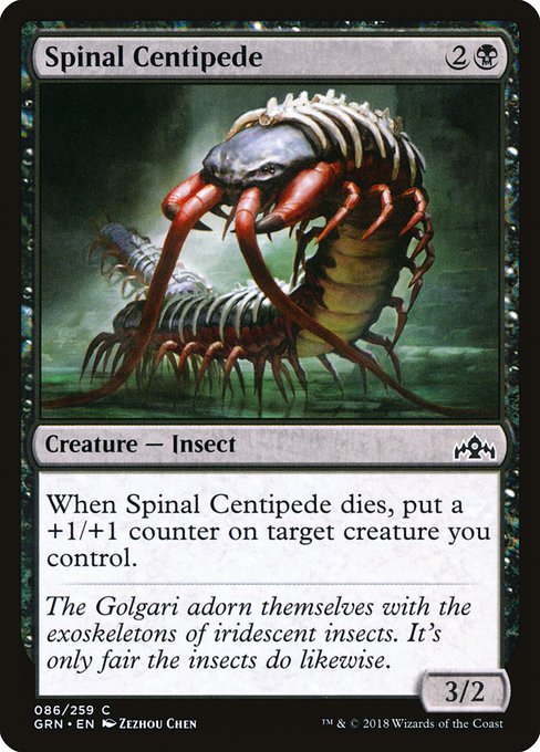 Spinal Centipede - Foil