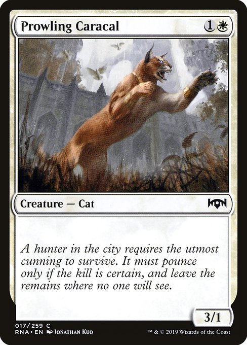 Prowling Caracal - Foil