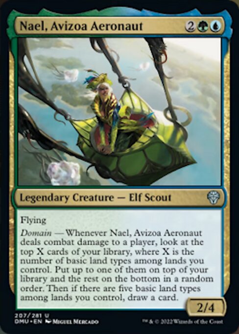 Nael, Avizoa Aeronaut - Foil