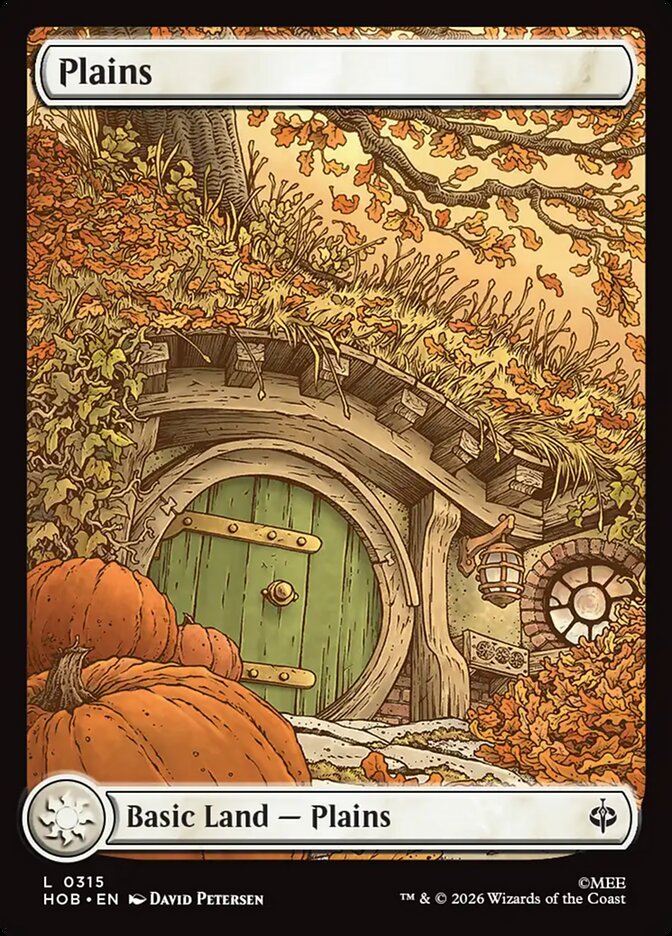 Plains (315) - Full Art - Foil
