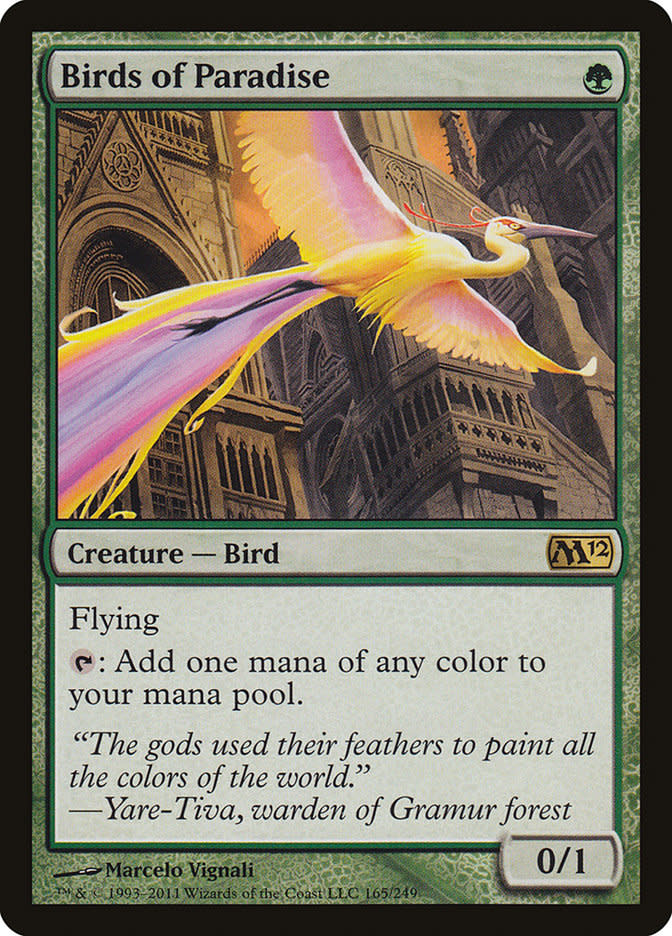 Birds of Paradise (LP)