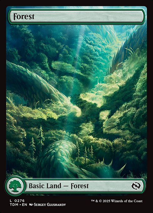 Forest (276) - Full Art Foil