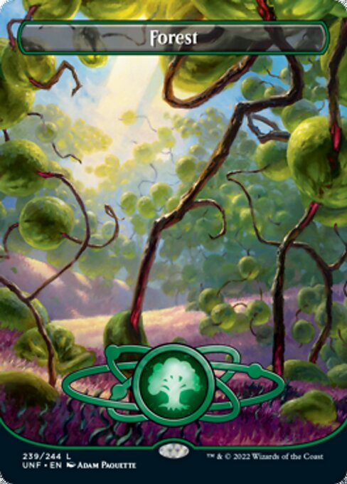 Forest (239) - Full Art Foil