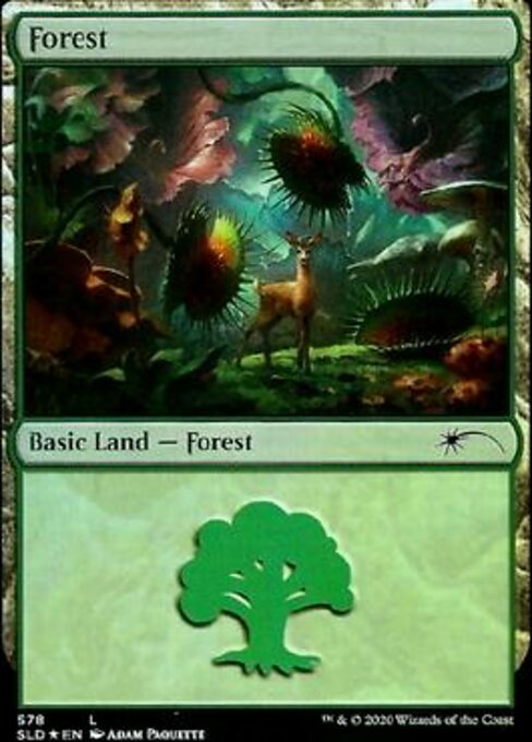 Forest (578) - Foil
