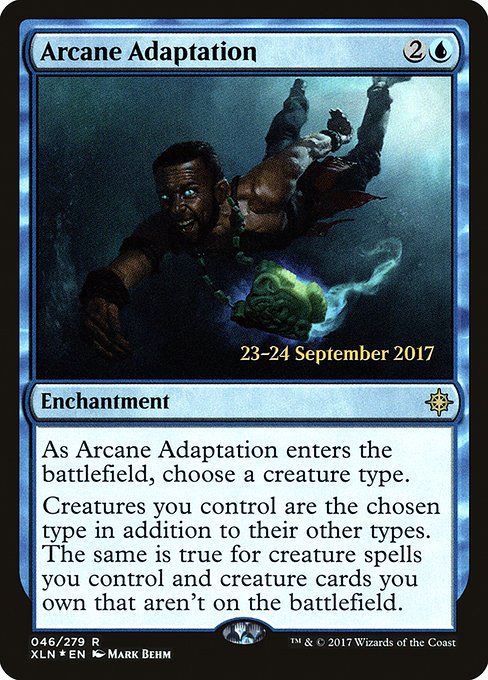 Arcane Adaptation - Foil - Prerelease Promo