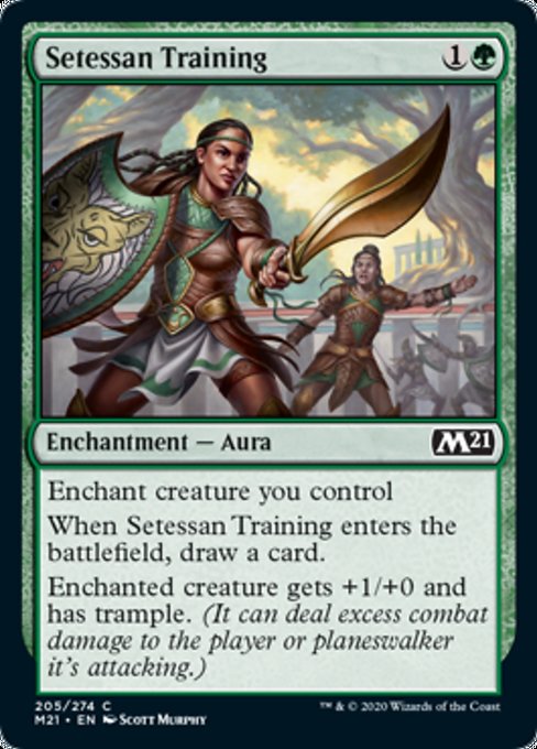 Setessan Training - Foil