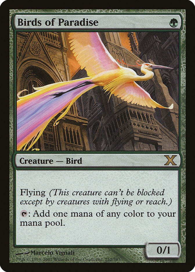 Birds of Paradise - Foil