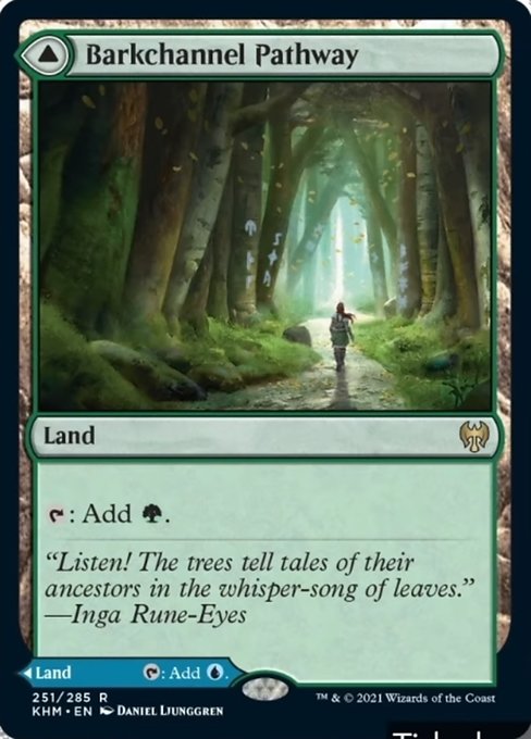 Barkchannel Pathway - Foil