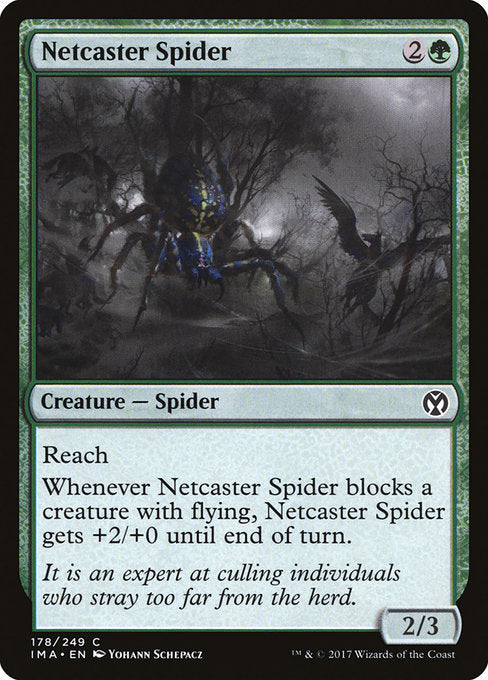 Netcaster Spider - Foil
