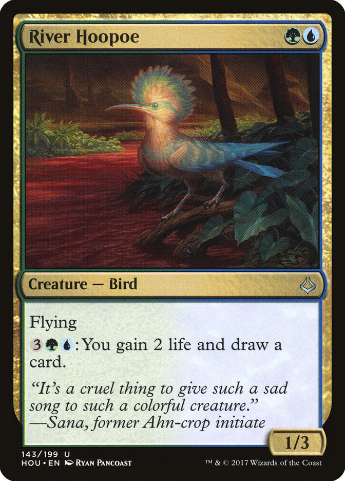 River Hoopoe - Foil