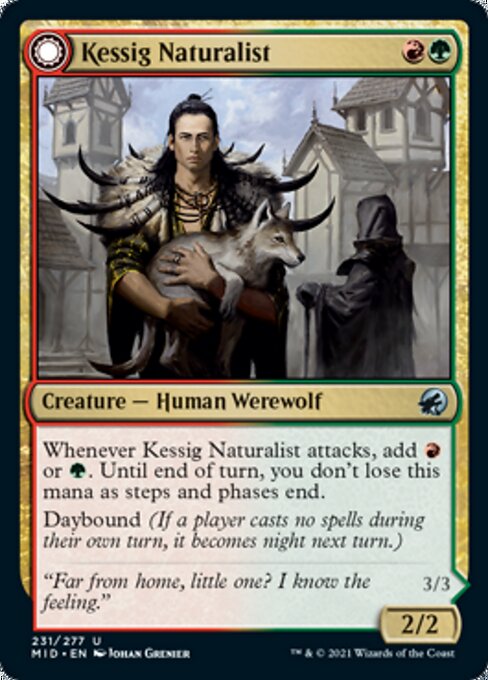 Kessig Naturalist