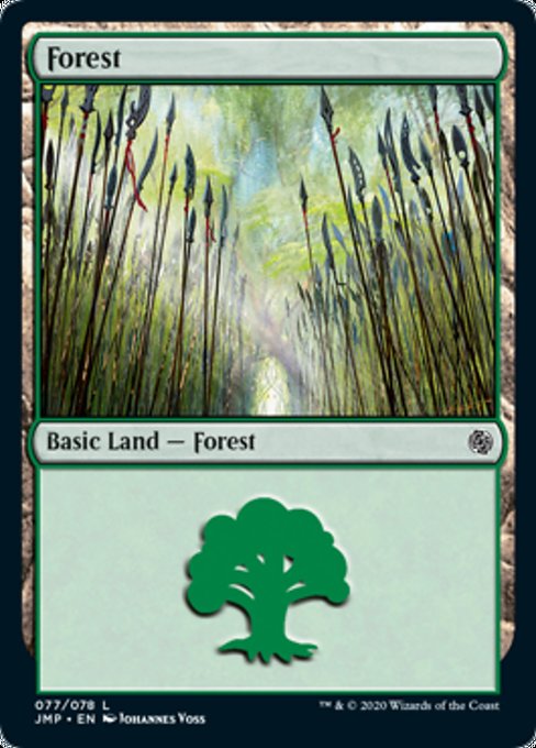 Forest (77)