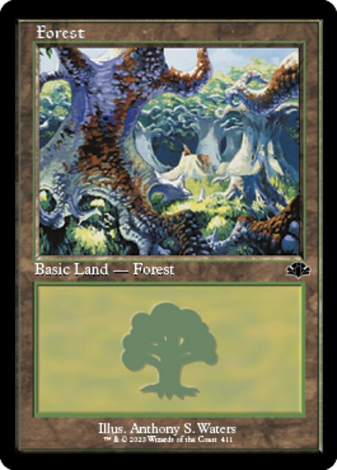 Forest (411)