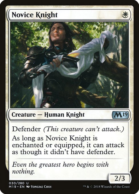 Novice Knight - Foil