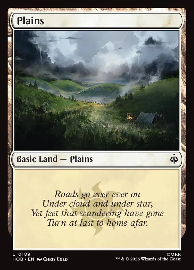 Plains (189) - Full Art - Foil