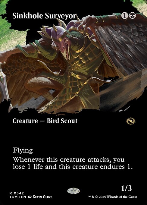 Sinkhole Surveyor - Foil