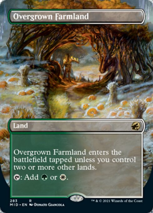 Overgrown Farmland - Foil