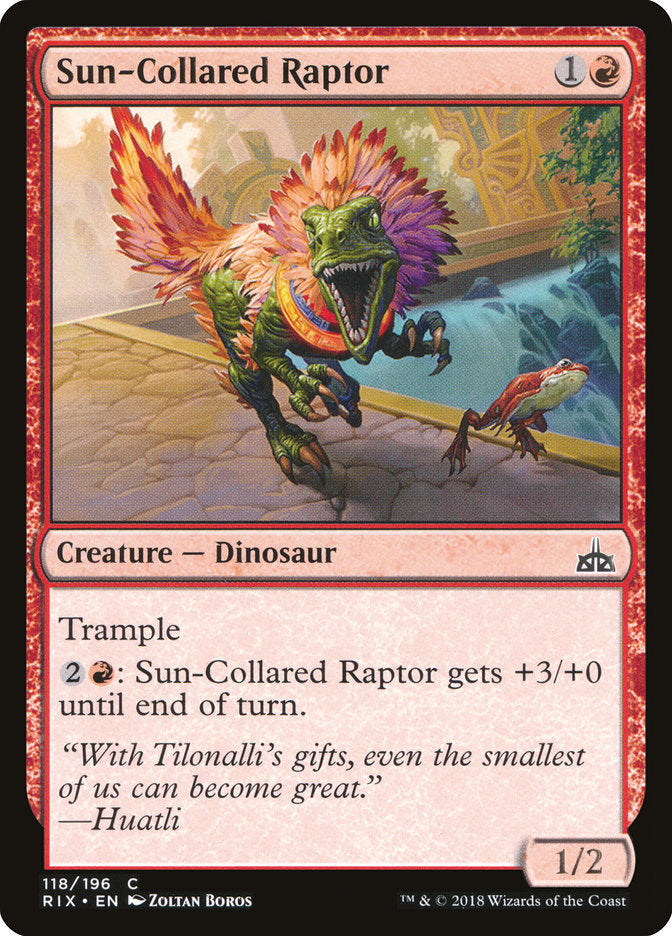 Sun-Collared Raptor - Foil