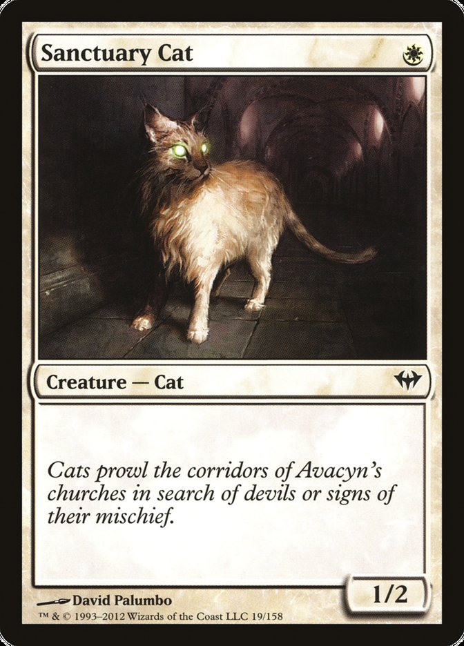 Sanctuary Cat - Foil