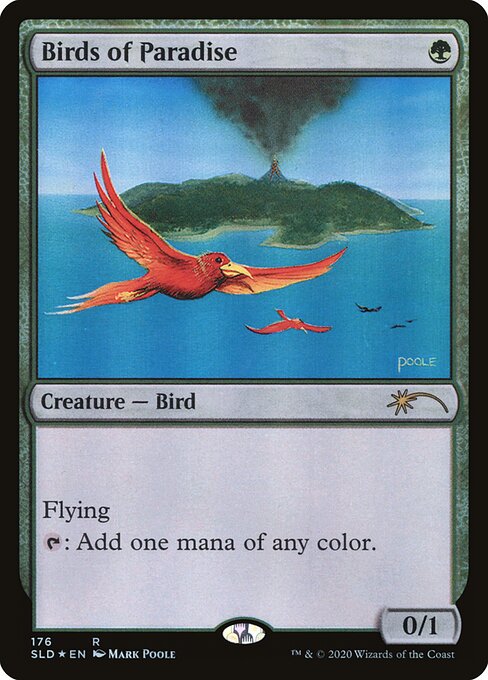 Birds of Paradise (176)