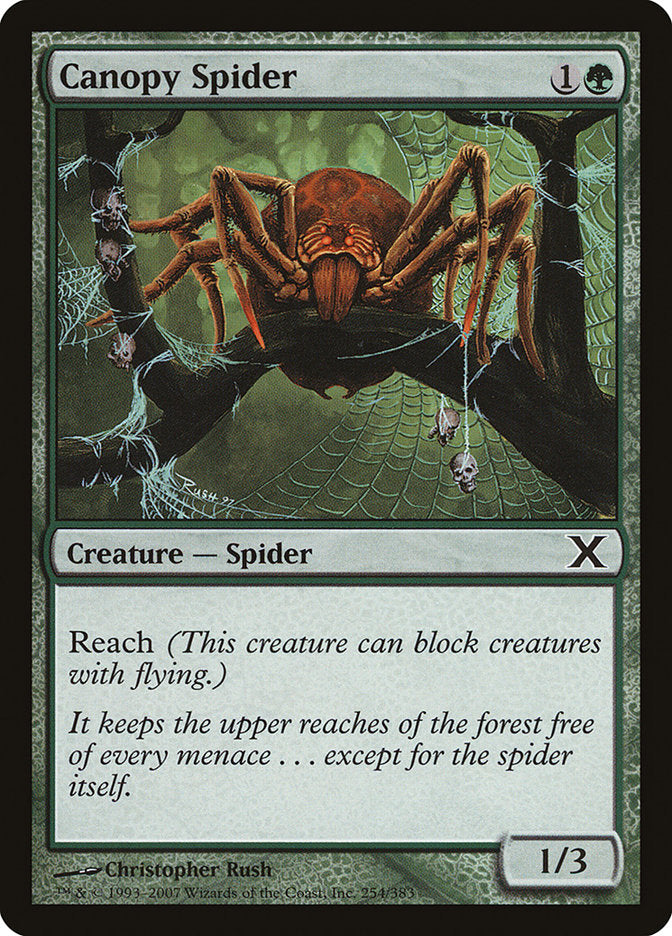 Canopy Spider - Foil