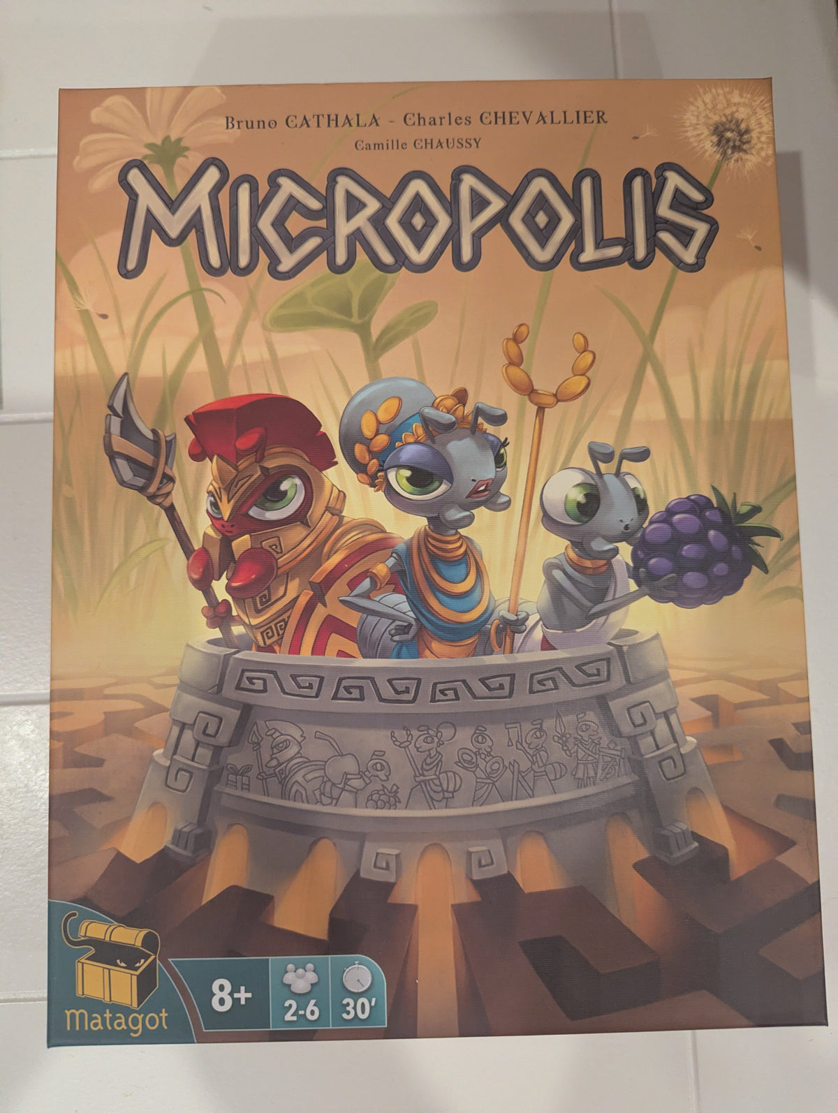 Micropolis