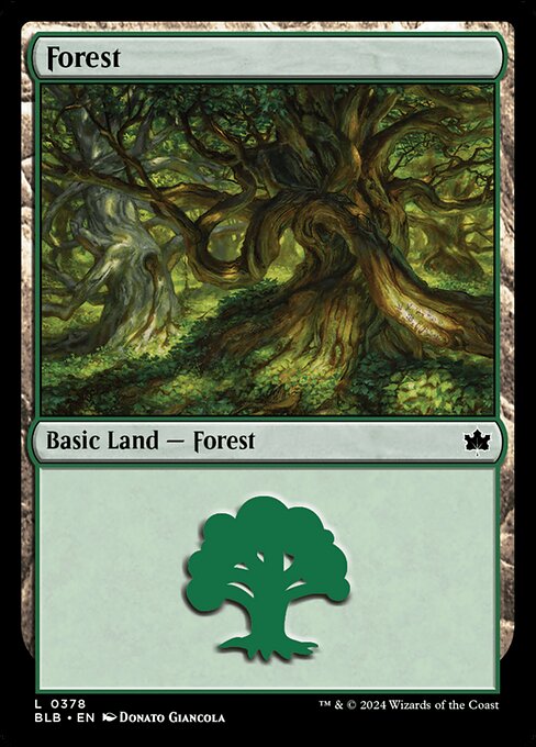 Forest (378)