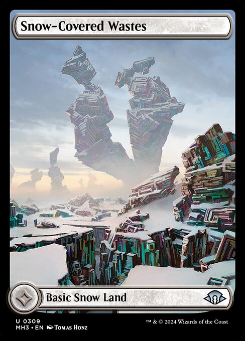 Snow-Covered Wastes (309) - Foil