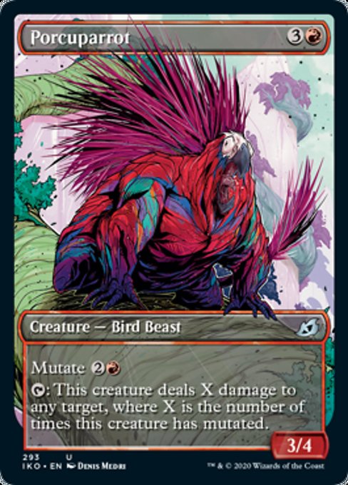 Porcuparrot - Foil