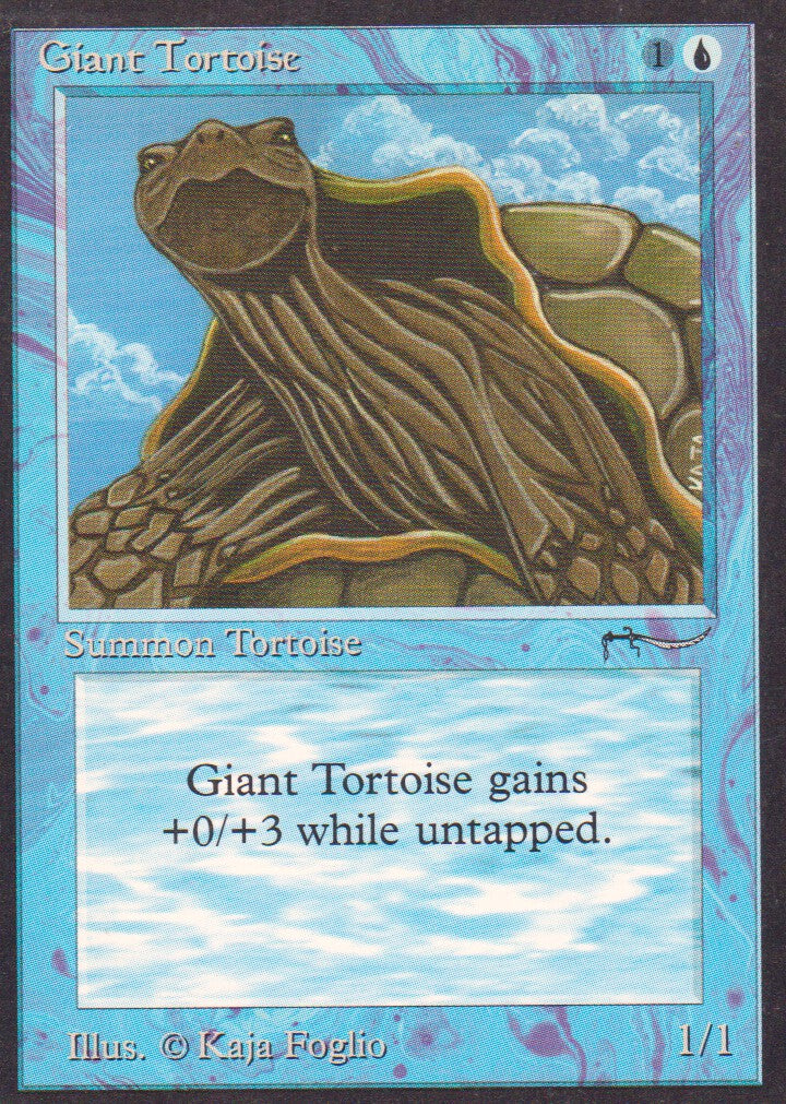 Giant Tortoise