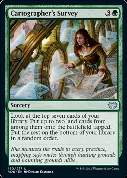 Cartographer's Survey - Foil