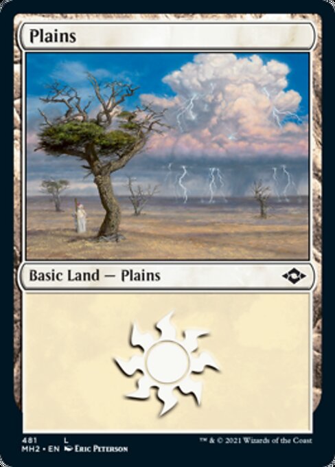 Plains (481) - Foil-Etched