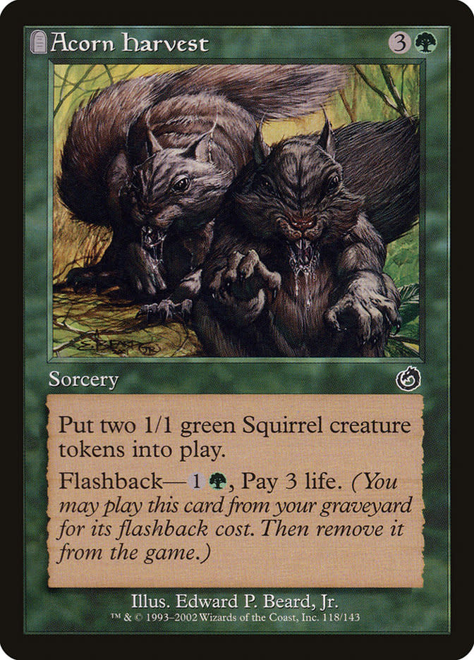 Acorn Harvest (MP)