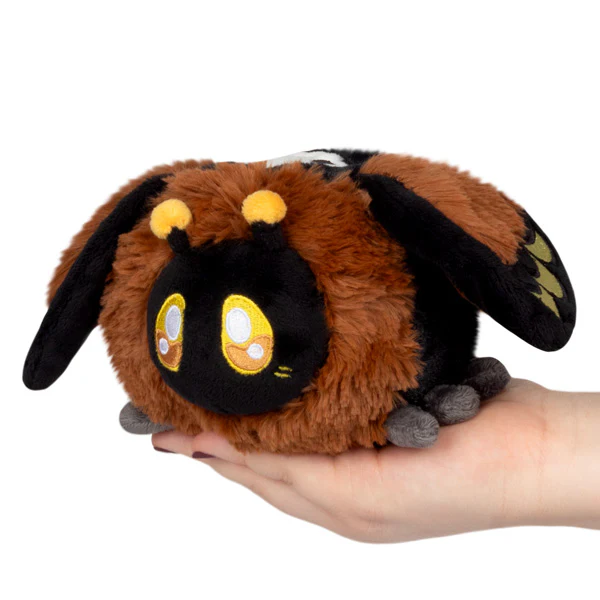 Snackers Death's-Head Hawkmoth