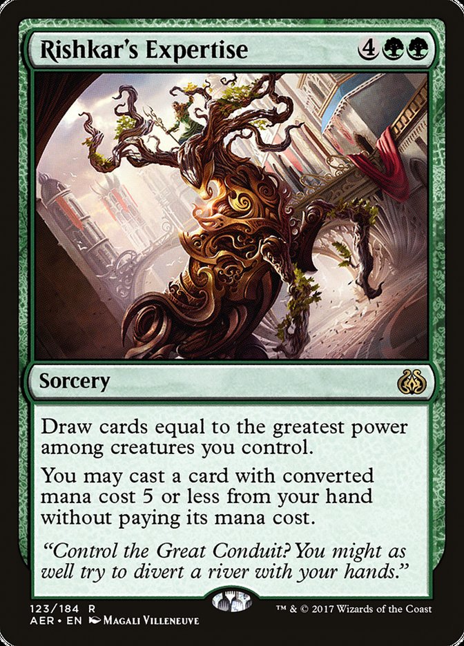 Rishkar's Expertise - Foil