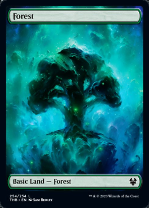 Forest (254) - Full Art - Foil
