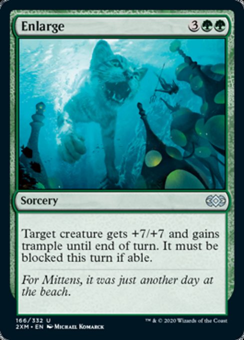 Enlarge - Foil