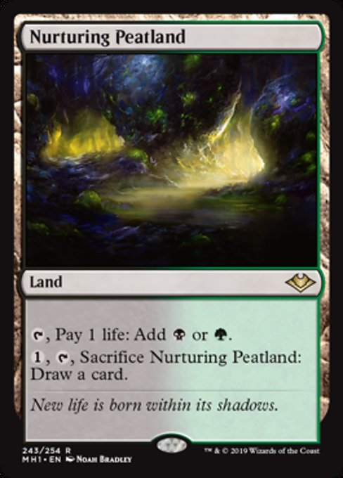Nurturing Peatland - Foil