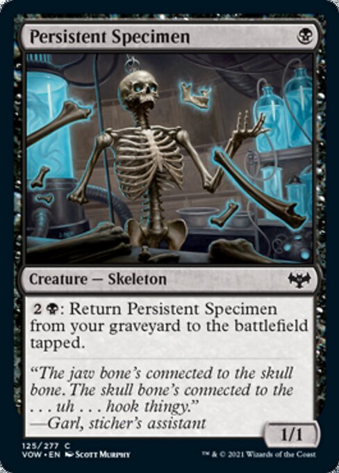 Persistent Specimen - Foil