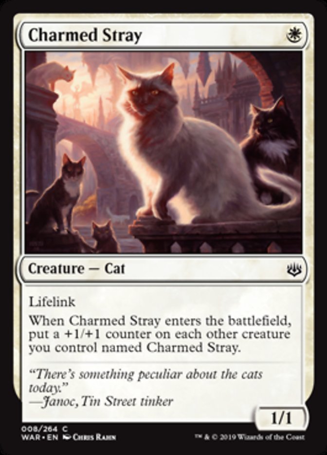 Charmed Stray - Foil